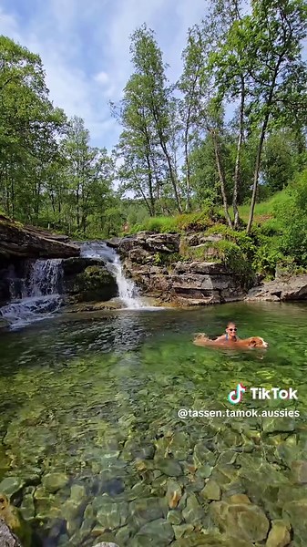 #australianshepherdsoftiktok #redtriaussie #redtri #fyp #australianshepherd #fyp #dog #paradise #water #swim