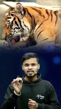 अरावली पर आया संकट 🚨 | सुप्रीम कोर्ट का बड़ा फैसला | Aravali Hills केस Explained #aravali ##अरावली