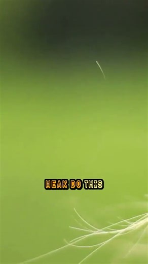 Skipping Squats Might Be Shortening Your Life (Science Explains)