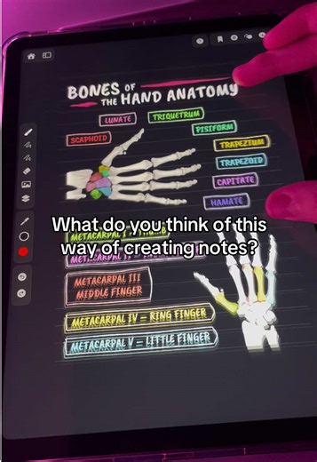 App: ZoomArt 💞 #ipadnotes #ipad #ipadnotetaking #notetaking #studytok | ipad notes