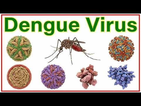 22. Dengue Virus: Microbiology, Pathogenesis & NS1 Antigen | Master the Boards 🩺