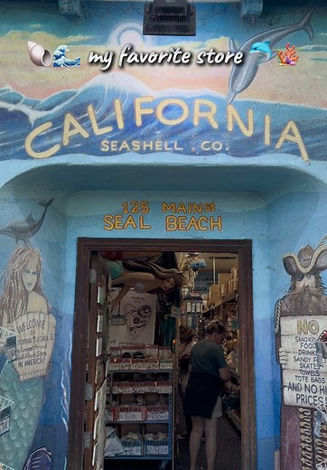Seashell Shopping at My Favorite Store