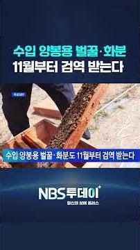 수입 양봉용 벌꿀‧화분도 11월부터 검역 받는다