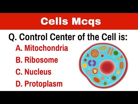 General questions and answers about Cells for 2026 exams