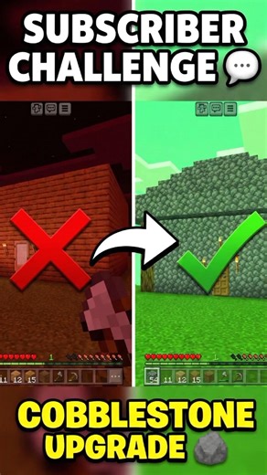 Subscriber Said Cobblestone house 😤 #shorts #minecraft