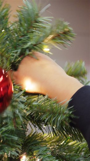 12 reactions | Santa’s elves are working overtime ✨ Catch all the magic at the Festival of Trees (@fotsbgc), Nov. 28th - Dec. 14 at the @mm_center!  All proceeds support the Springfield Boys and Girls Club!  Admission tickets are available at the Springfield Visitors Center - 1319 Main St! : @studio.angelle | Springfield Downtown | Facebook