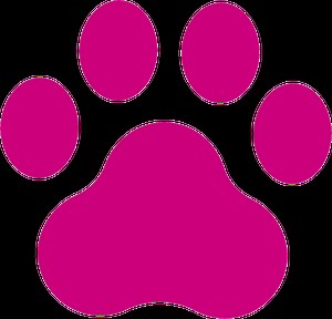 Advanced Internal Medicine for Pets - Patient Referral Portal