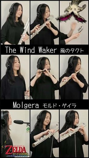 フルートで『モルド・ゲイラ』ゼルダの伝説 風のタクト #zelda #music #flute #ゼルダの伝説 #フルート #演奏してみた