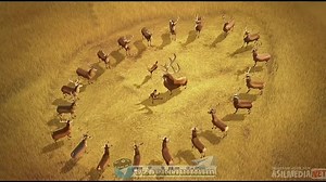 Ov Mavsumi 1 1080p O'zbek tilida (asilmedia.net)