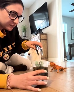 When you have to feed your roommates lizard but you're afraid of bugs 😱🐛 | FOODbible