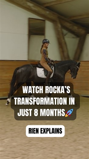 This young mare started her training with Annemarie Meerkerk, where she was gently introduced to being under saddle. No bit, no pressure just freedom, trust, and learning the basics. A few months later, she came home to continue her training with Romy and Rien. Working on the snaffle, always with the focus on forward energy, balance, and contact from back to front. The difference is already striking. You can clearly see how her posture, coordination, and confidence have developed. She’s more bal