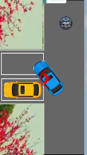 Parallel Parking Masterclass: How to Perfectly Park Your Blue Car