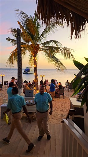 46K views · 750 reactions | 헚헼헼헱 험혃헲헻헶헻헴! ✨ 험혅헽헲헿헶헲헻헰헲 혁헵헲 헦혂헻혀헲혁...