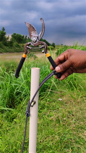 Easy Trick for Cutting High Tree Branches! 🌳✂