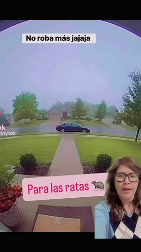 Gran lección por 🐀 | Mel Fitness