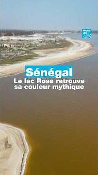Senegal: Lake Rose regains its legendary color • FRANCE 24