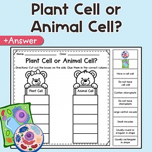 Plant Cell or Animal Cell? Cut and Paste Sorting Activity – Science Made Fun