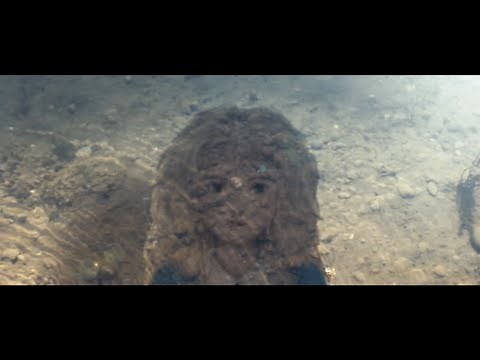 THE LITTLEST BIGFOOT by Jennifer Weiner