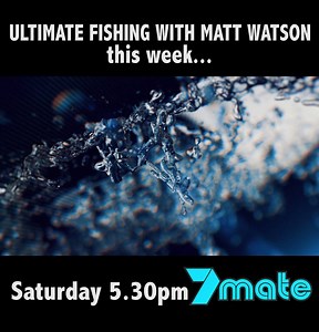 3.9K views · 33 reactions | This week on Ultimate Fishing, Matt Watson - The Fishing Guy attempts to catch a sword fish in the South Island of New Zealand. If successful this will be a world first. 7mate Saturday 5:30pm SHIMANO Australia Fishing Sydney's Fishing Forum Perth & WA Fishing Reports Darwin Game Fishing Club Swordfish SWORDFISH SPORTFISHING | Ultimate Fishing | Facebook