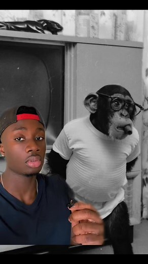 If video games make kids violent, imagine what this is gonna do #chimp #science #DidYouKnow #planetoftheapes | Rutgers Alumni