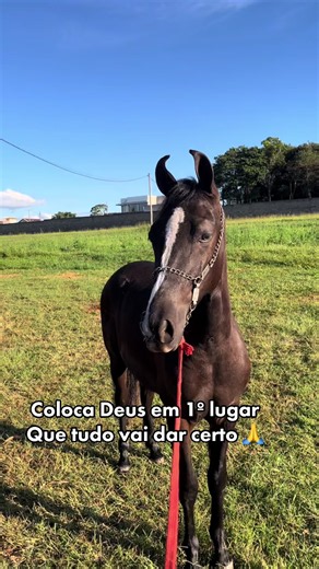 Coloca Deus em 1º lugar — conselho de fé e vida