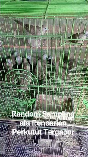 Simple random sampling. Researcher randomly selects a subset of participants from a population.