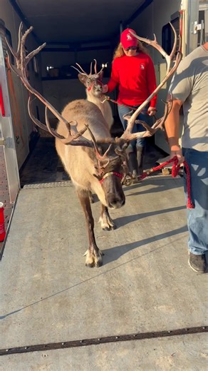 City of Sikeston, MO on Reels