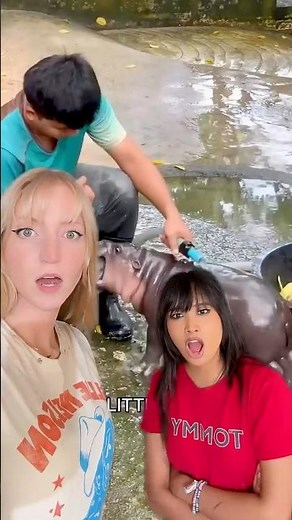 Let’s STICKI ROLL the CUTEST Stuffed Animal Ever! 🦛 🥰