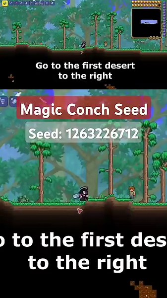 Magic Conch Seed #terraria #gaming