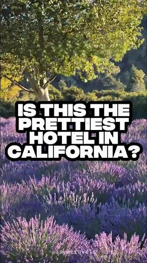 This California Resort Feels Like a Dream 😍 Lavender, Deer & 5-Star Views | Carmel Valley Ranch