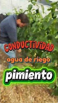 Conductividad del agua de riego en pimiento