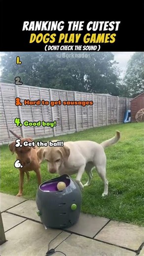 RANKING THE CUTEST DOGS PLAY GAMES 🐶🎮 | DONT CHECK THE SOUND #funny #shorts #dog