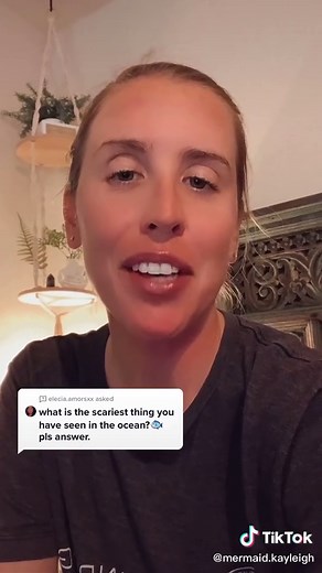 Swimming with Alligators in the Everglades