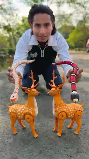 Crazy Rc Snake Vs Duita Rc Deer Unboxing & Testing😱 #nazibkatoys #toyscar #foryou #10kfollowers #1millionviews