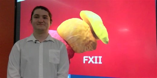 Recent Tyler ISD graduate animates 3-D models of blood clotting process