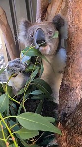 110K views · 26K reactions | Is there any better feeling?! Our...