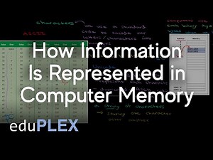 Representing Information in Memory | Hardware and Software | AP Computer Science A | eduPLEX