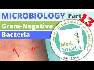Gram-Negative bacteria | Microbiology | USMLE STEP 1 | Pt 13