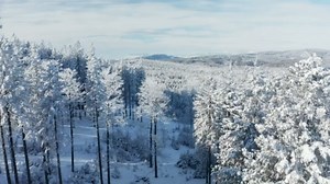 Discover the Most Awe-inspiring Spots in Slovenia