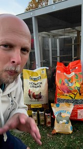 Chicken Feed mix to help keep your chickens healthy! #chicken #chickens #backyardchickens #homestead #feed #growyourownfood | Salty Acres