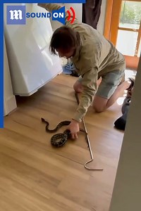 This homeowner has learned a VERY valuable lesson! 🐍😱Via storyful | Daily Mail Video