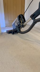 167K views · 2.4K reactions | Did you see him? ️Let’s just say I...