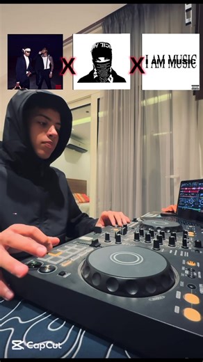 Rottweiler Traits and Characteristics