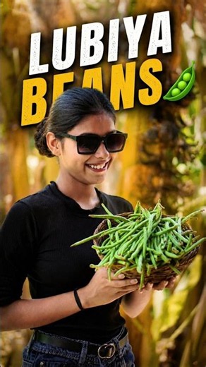 🌱 Farm Fresh Lubiya Beans Recipe | Village Style Cooking 😋 #shorts @flaviacapital