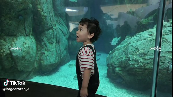 First Aquarium Visit: A Memorable Family Experience