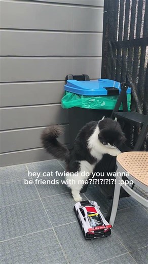 I let my rc car go to my garage...