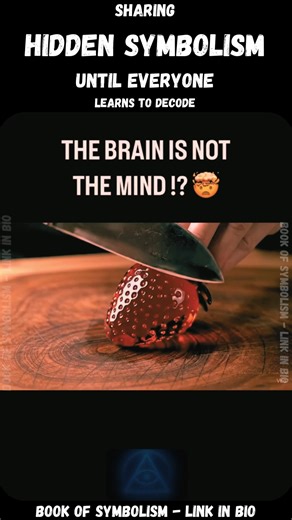 Temple of Awareness on Instagram: "Comment “SYMBOL” and I’ll send you the link 📕✨ Symbols aren’t decoration. They’re instructions. Once you learn how to read them, the system loses its grip. The Book of Symbolism teaches this skill directly. #breakthesystem #matrix #symbolism #gnosis #awakening #hiddenknowledge"