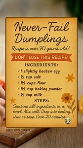 💛 90-YEAR-OLD DUMPLING RECIPE 💛 Passed down from my great-grandmother—and it never fails! 🥄 5 simple ingredients 🕰️ 20 minutes in simmering stew ✅ Perfect every time 📌 Save this for the next cold day—you’ll thank me later. #OldSchool #FamilyFavorites #ComfortFood | Easy Family Recipes