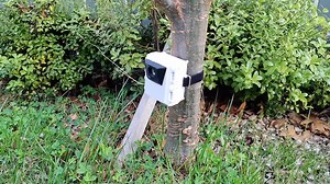 A Trail Camera Built With Raspberry Pi