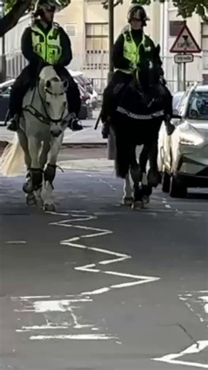 Police are preparing as a protest and counter-protest is to take place in Bristol | Bristol.Live